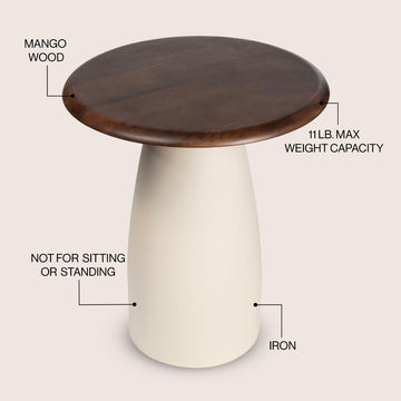 Skye 18" Modern Rustic Wood/Metal Accent Table